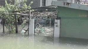 Порой наводни Ветрино