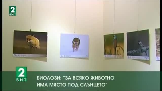 Биолози: „За всяко животно има място под слънцето“