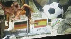 Испания се вманиячи по октопода Паул