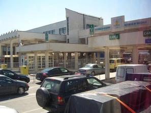 нелегални емигранти