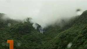 152 загинаха при самолетна катастрофа в Пакистан