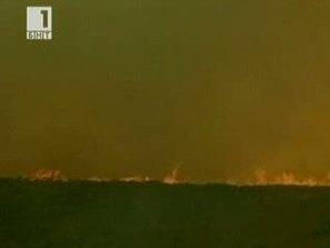 Пожар в Калифорния