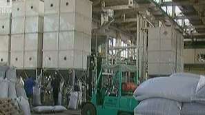 Бизнесът с ядки процъфтява