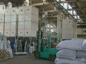 Бизнесът с ядки процъфтява