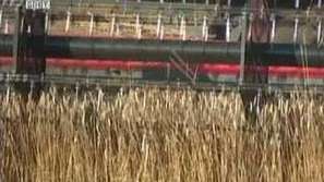 Консултативен съвет по зърното