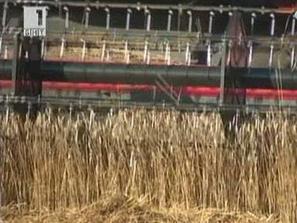 консултативен съвет зърното