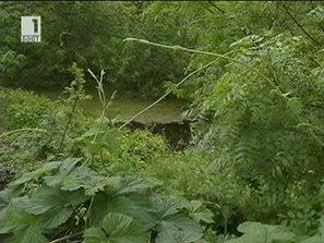 смъртни случая гърция западнонилска треска