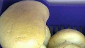 Спор за цената на хляба