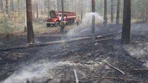 Задимени спекулации