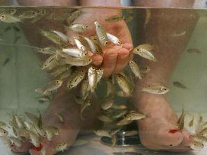 Риби - педикюристи