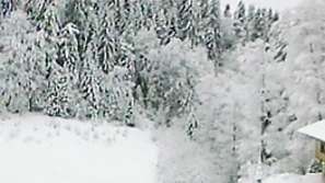 Откриха тялото на затрупания  от лавина сноубордист край Банско
