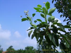 изход кризата две реколти сезон