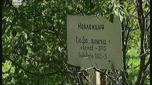 Генофонд под заплаха