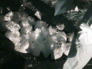 акция амфетамините продължава