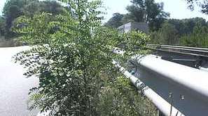 Проблеми с пътищата във Врачанско