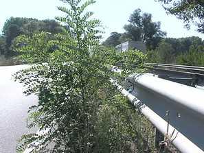 проблеми пътищата врачанско