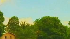 Обезлесяването - тема на конференцията в Канкун