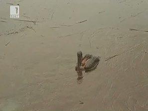 увеличават пенсии заплати испания