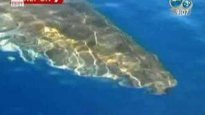 Челюсти на живо