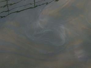 нивото замърсяване дунав