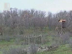 мерки шапа
