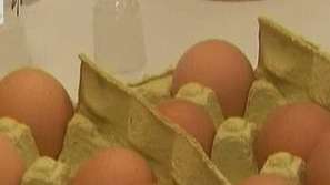 Затвориха още ферми в Германия заради диоксина