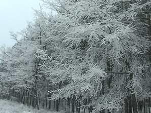 зимна приказка враца