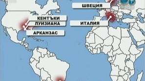 Птици и риби измират загадъчно по света