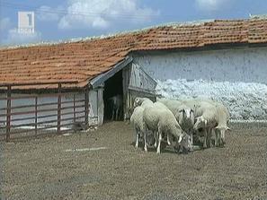 животновъди южна българия стачна готовност