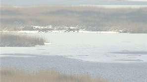 Европари за резервата Сребърна