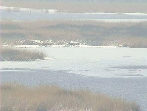 европари резервата сребърна