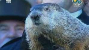 Мармотът Фил предсказа пролетта