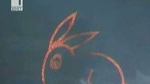 Вече сме в Годината на Заека