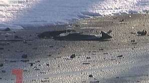 Пиян шофьор рани семейство