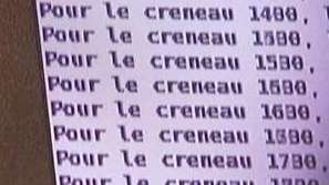 Крадци на въглеродни емисии