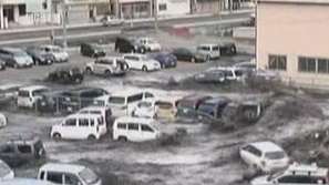 Зелена светлина: Алтернативен превоз