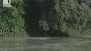 Световен ден на водата