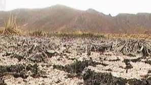 Инициативата Часът на Земята и климатичните промени