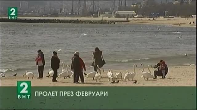 Пролет през февруари