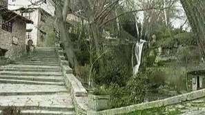 СУ затваря врати заради Ботаническата градина