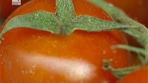 Зеленчуците реабилитирани