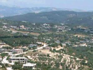 Международна хроника