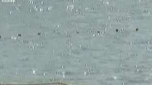 Време е за море