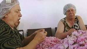 Розовото сладко от село Розовец