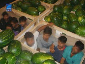 заловиха нелегални имигранти тир дини