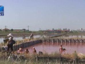 калолечение солниците бургас