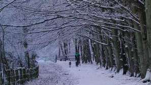 Сняг в Нова Зеландия