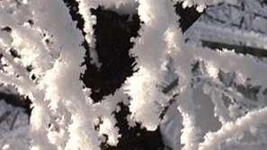 Шумен осъмна в сняг