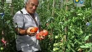 Ден на градинаря