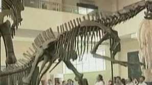 Находка в Китай